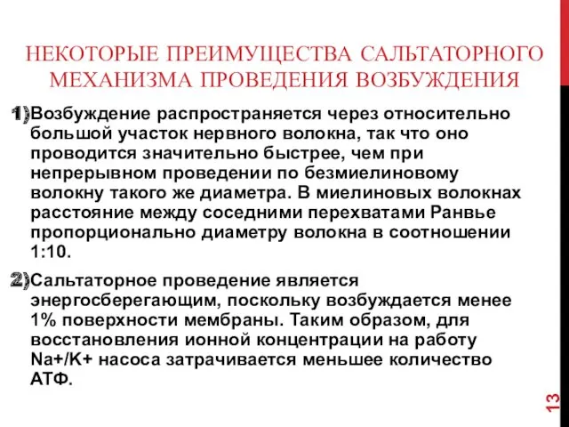 НЕКОТОРЫЕ ПРЕИМУЩЕСТВА САЛЬТАТОРНОГО МЕХАНИЗМА ПРОВЕДЕНИЯ ВОЗБУЖДЕНИЯ Возбуждение распространяется через относительно