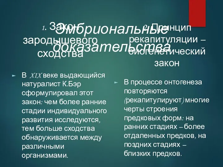 Эмбриональные доказательства 1. Закон зародышевого сходства В XIX веке выдающийся