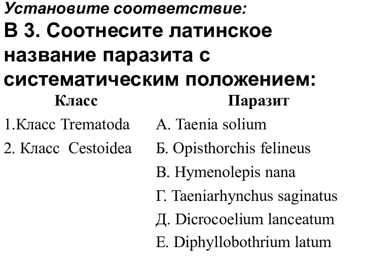 Установите соответствие: В 3. Соотнесите латинское название паразита с систематическим положением: