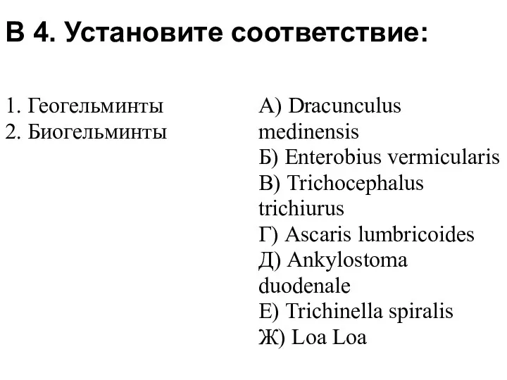 В 4. Установите соответствие: