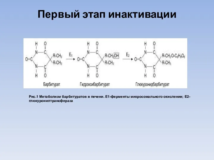 Первый этап инактивации Рис.1 Метаболизм барбитуратов в печени. E1-ферменты микросомального окисления; E2-глюкуронилтрансфераза