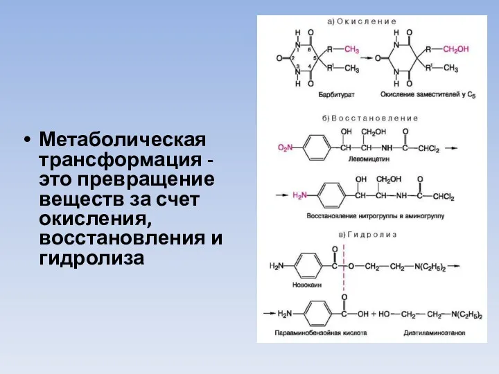 Метаболическая трансформация - это превращение веществ за счет окисления, восстановления и гидролиза