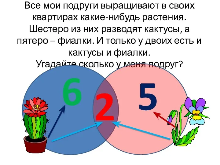 Все мои подруги выращивают в своих квартирах какие-нибудь растения. Шестеро