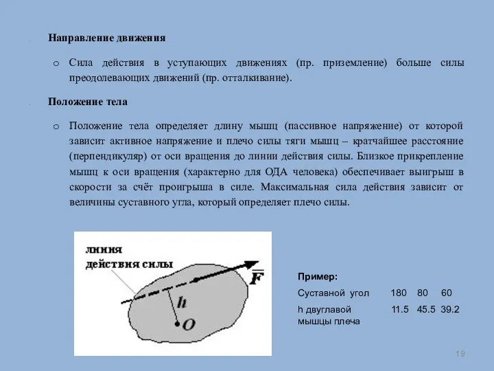 Направление движения Сила действия в уступающих движениях (пр. приземление) больше