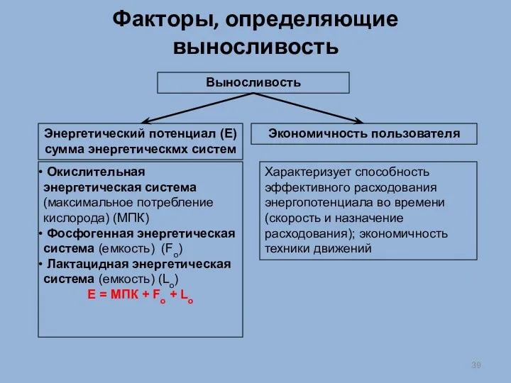 Факторы, определяющие выносливость Выносливость Энергетический потенциал (Е) сумма энергетическмх систем