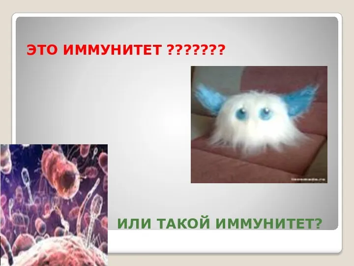 ИЛИ ТАКОЙ ИММУНИТЕТ? ЭТО ИММУНИТЕТ ???????