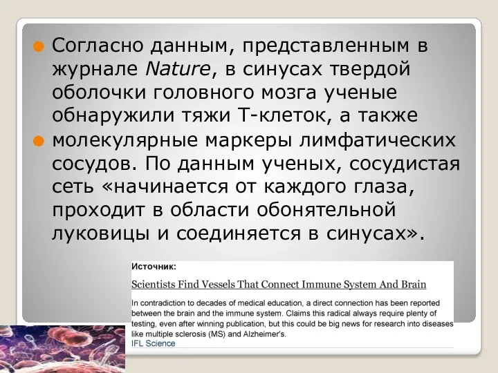 Согласно данным, представленным в журнале Nature, в синусах твердой оболочки