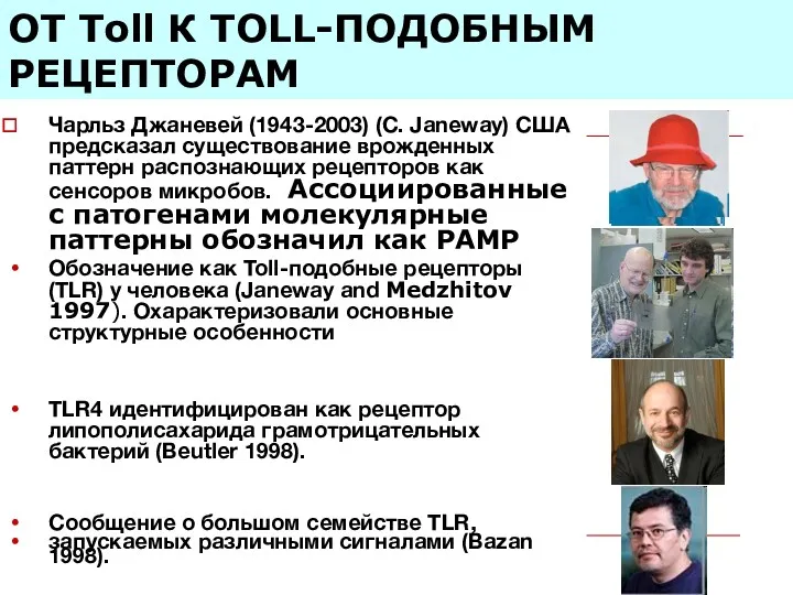 ОТ Toll К TОLL-ПОДОБНЫМ РЕЦЕПТОРАМ Чарльз Джаневей (1943-2003) (С. Janeway)