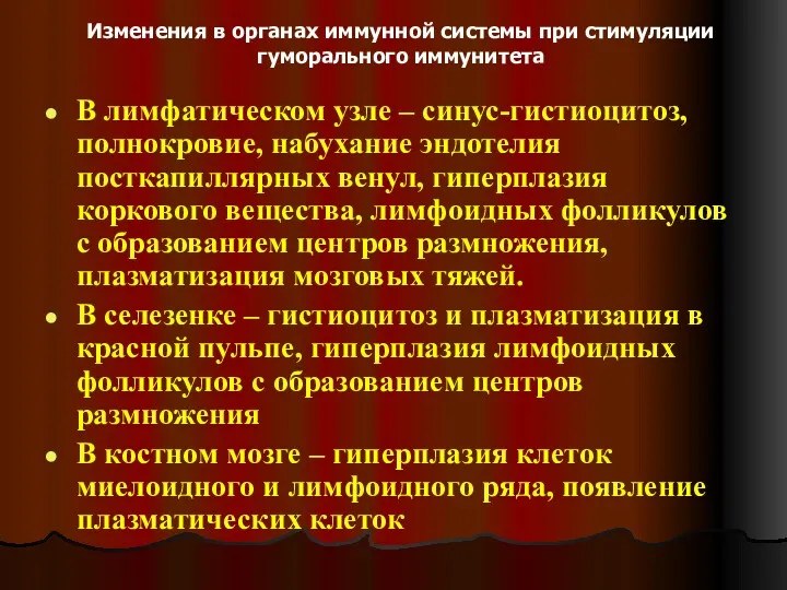 Изменения в органах иммунной системы при стимуляции гуморального иммунитета В