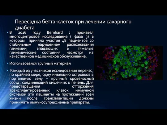 Пересадка бетта-клеток при лечении сахарного диабета В 2016 году Bernhard