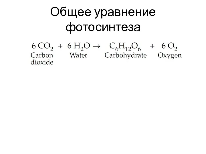 Общее уравнение фотосинтеза