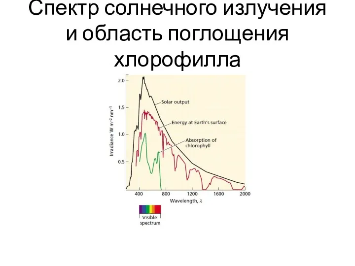 Спектр солнечного излучения и область поглощения хлорофилла