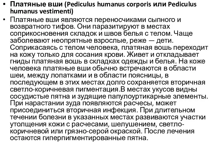 Платяные вши (Pediculus humanus corporis или Pediculus humanus vestimenti) Платяные вши являются переносчиками