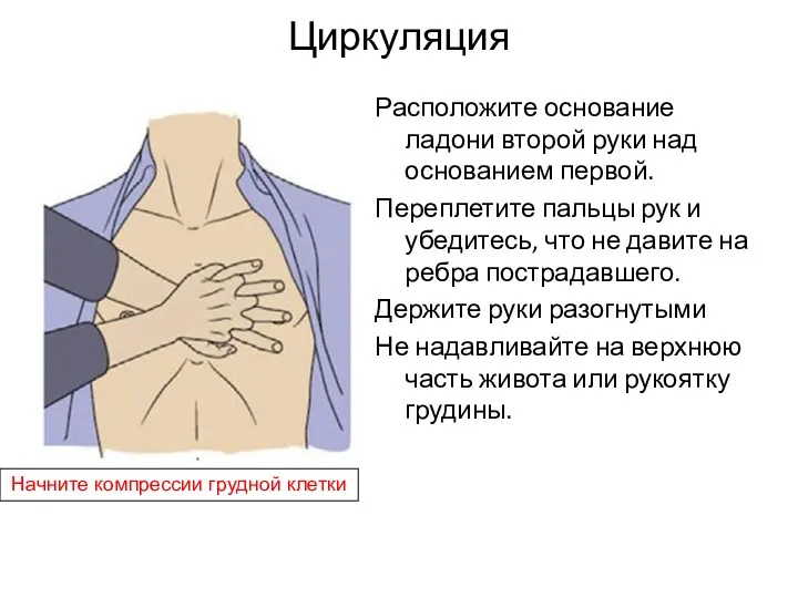Циркуляция Начните компрессии грудной клетки Расположите основание ладони второй руки