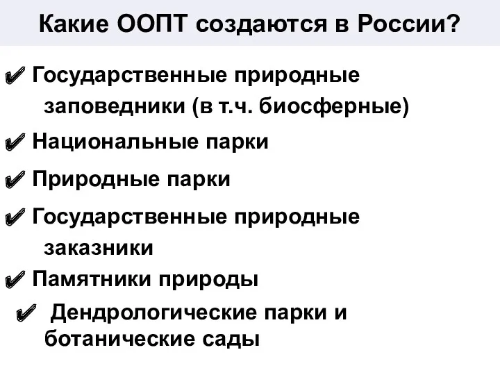 Какие ООПТ создаются в России? Дендрологические парки и ботанические сады