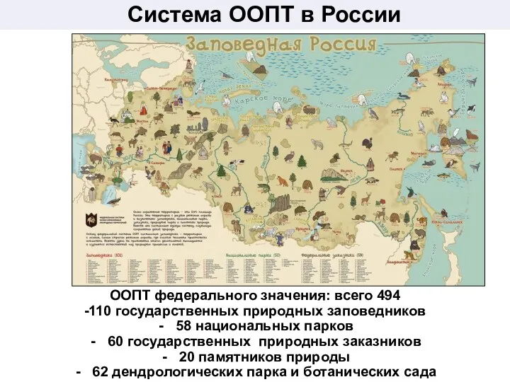 Система ООПТ в России ООПТ федерального значения: всего 494 -110