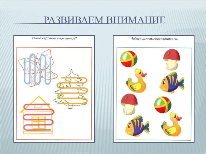 РАЗВИВАЕМ ВНИМАНИЕ