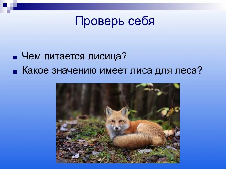 Проверь себя Чем питается лисица? Какое значению имеет лиса для леса?