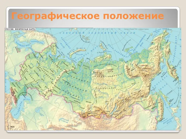 Географическое положение Западно-Сибирская равнина занимает всю западную часть Сибири от Уральских гор на