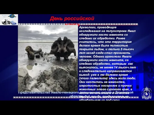 Представительство Ямало-Ненецкого автономного округа в Тюменской области День российской науки Археологи, проводящие исследования