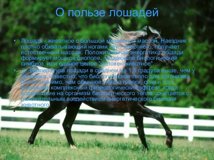 О пользе лошадей Лошадь - животное с большой мышечной массой. Наездник плотно обхватывающий
