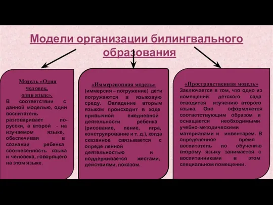 Модели организации билингвального образования Модель «Один человек, один язык». В