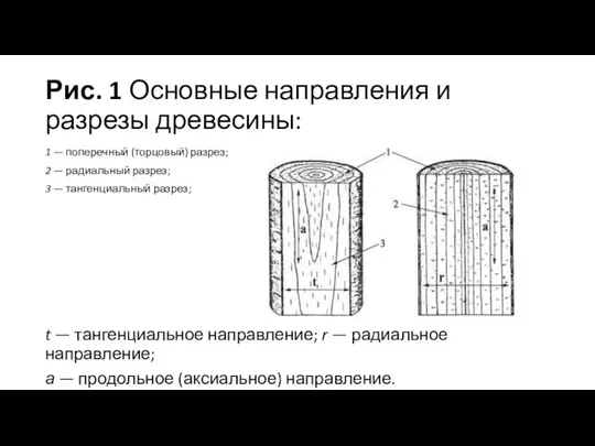 Рис. 1 Основные направления и разрезы древесины: 1 — поперечный