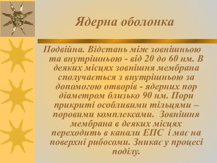 Ядерна оболонка Подвійна. Відстань між зовнішньою та внутрішньою - від