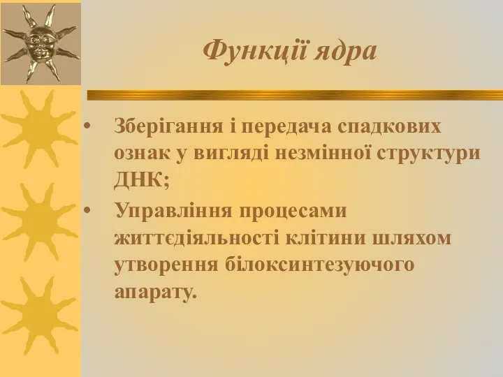 Функції ядра Зберігання і передача спадкових ознак у вигляді незмінної