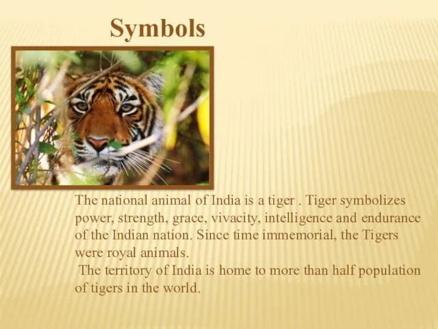 The national animal of India is a tiger . Tiger symbolizes power, strength,