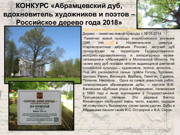 КОНКУРС «Абрамцевский дуб, вдохновитель художников и поэтов – Российское дерево года 2018» Дуб