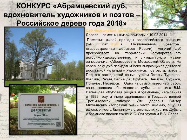 КОНКУРС «Абрамцевский дуб, вдохновитель художников и поэтов – Российское дерево