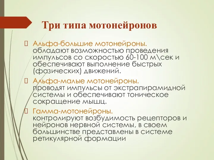 Три типа мотонейронов Альфа-большие мотонейроны. обладают возможностью проведения импульсов со