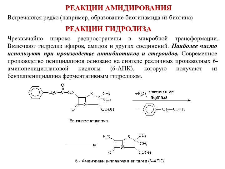 РЕАКЦИИ АМИДИРОВАНИЯ Встречаются редко (например, образование биотинамида из биотина) РЕАКЦИИ