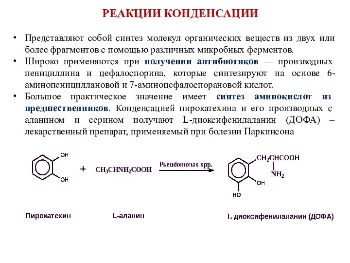 Представляют собой синтез молекул органических веществ из двух или более