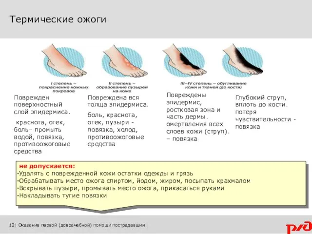 Термические ожоги 12| Оказание первой (доврачебной) помощи пострадавшим | Поврежден