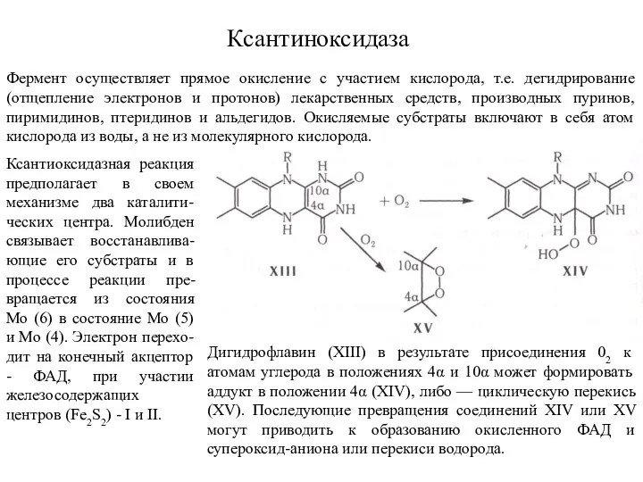 Ксантиноксидаза Ксантиоксидазная реакция предполагает в своем механизме два каталити-ческих центра.