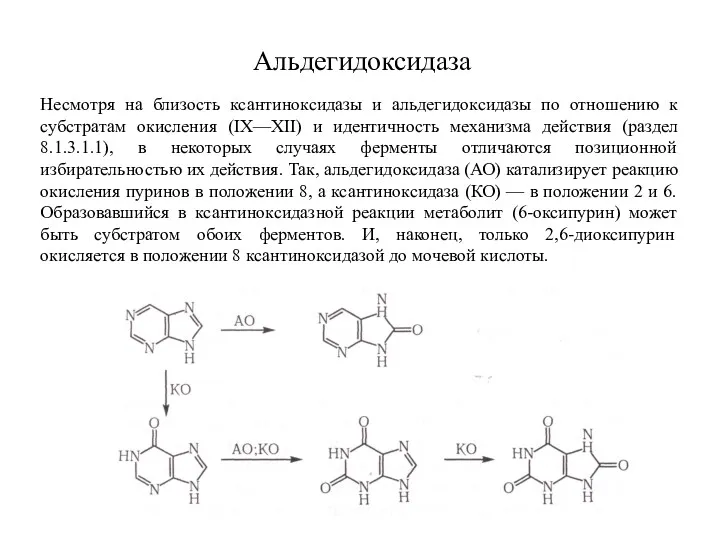 Альдегидоксидаза Несмотря на близость ксантиноксидазы и альдегидоксидазы по отношению к