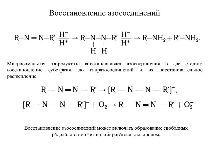 Восстановление азосоединений Микросомальная азоредуктаза восстанавливает азосоединения в две стадии: восстановление