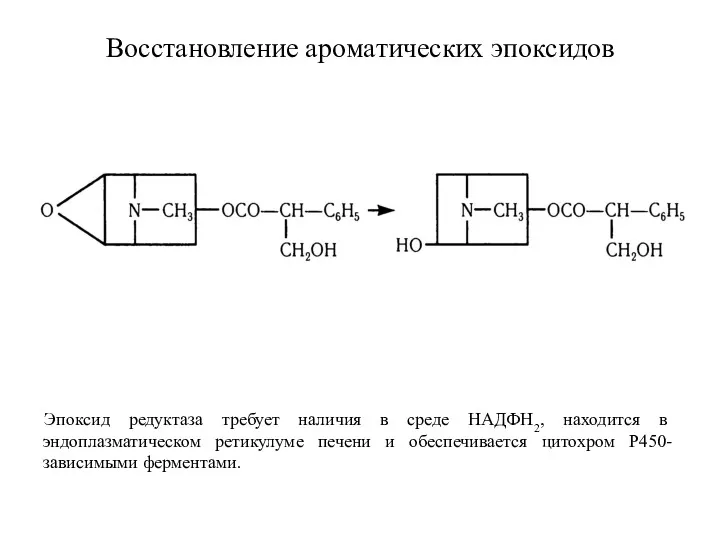 Boccтaнoвлeниe aрoмaтичecкиx эпоксидoв Эпоксид редуктаза требует наличия в среде НАДФН2,