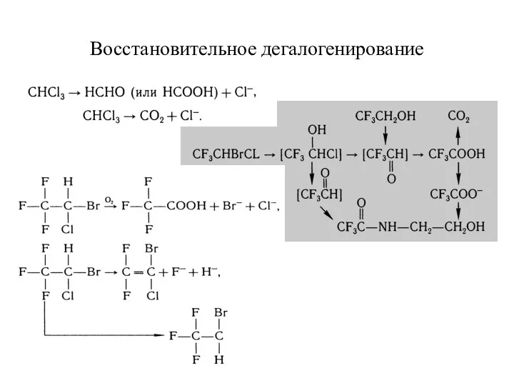 Восстановительное дегалогенирование