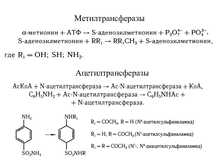 Метилтрансферазы Ацетилтрансферазы