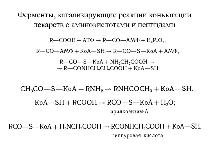 Ферменты, катализирующие реакции конъюгации лекарств с аминокислотами и пептидами