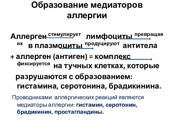 Образование медиаторов аллергии Аллерген стимулирует лимфоциты превращая их в плазмоциты