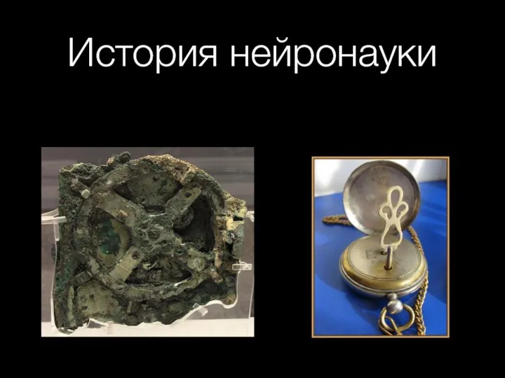 История нейронауки