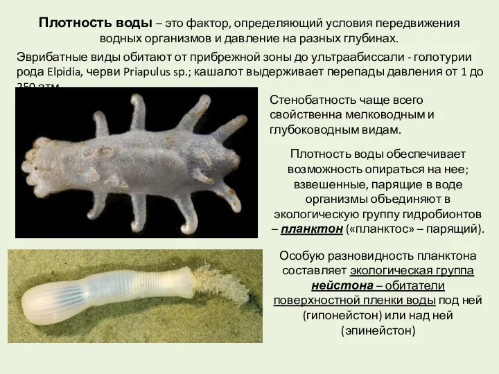 Стенобатность чаще всего свойственна мелководным и глубоководным видам. Плотность воды