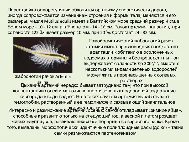 Перестройка осморегуляции обходится организму энергетически дорого, иногда сопровождается изменением строения