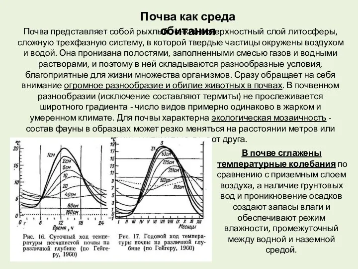 Почва как среда обитания Почва представляет собой рыхлый тонкий поверхностный