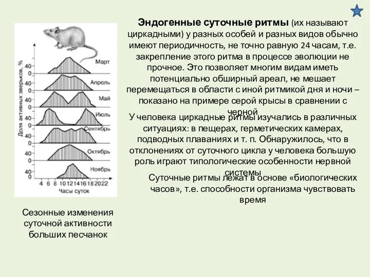 Сезонные изменения суточной активности больших песчанок Эндогенные суточные ритмы (их