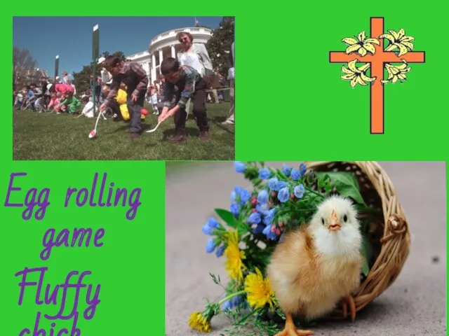 Egg rolling game Fluffy chick